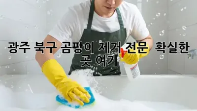 광주 북구 곰팡이 제거 전문 💯 확실한 곳 여기!